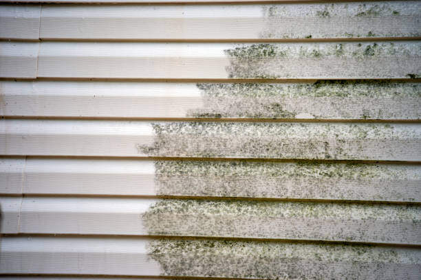 Best Moving and Downsizing Cleanouts  in Prescott, WI